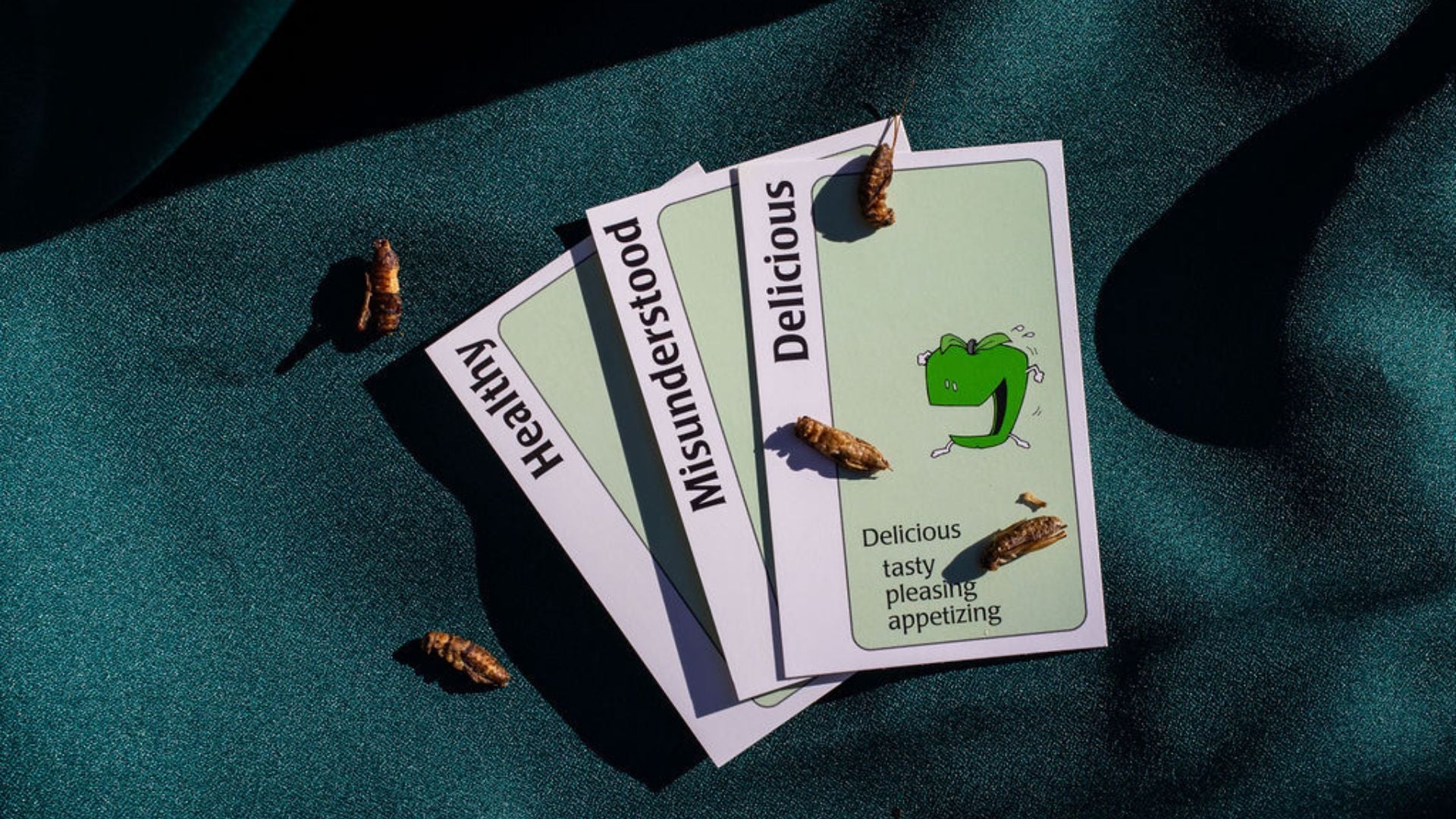 Bugs next to cards that say Healthy, Misunderstood, Delicious