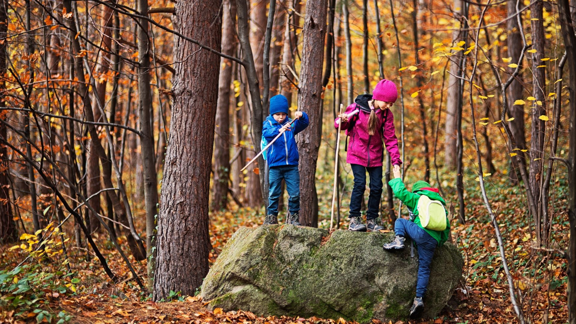 Hiking kids