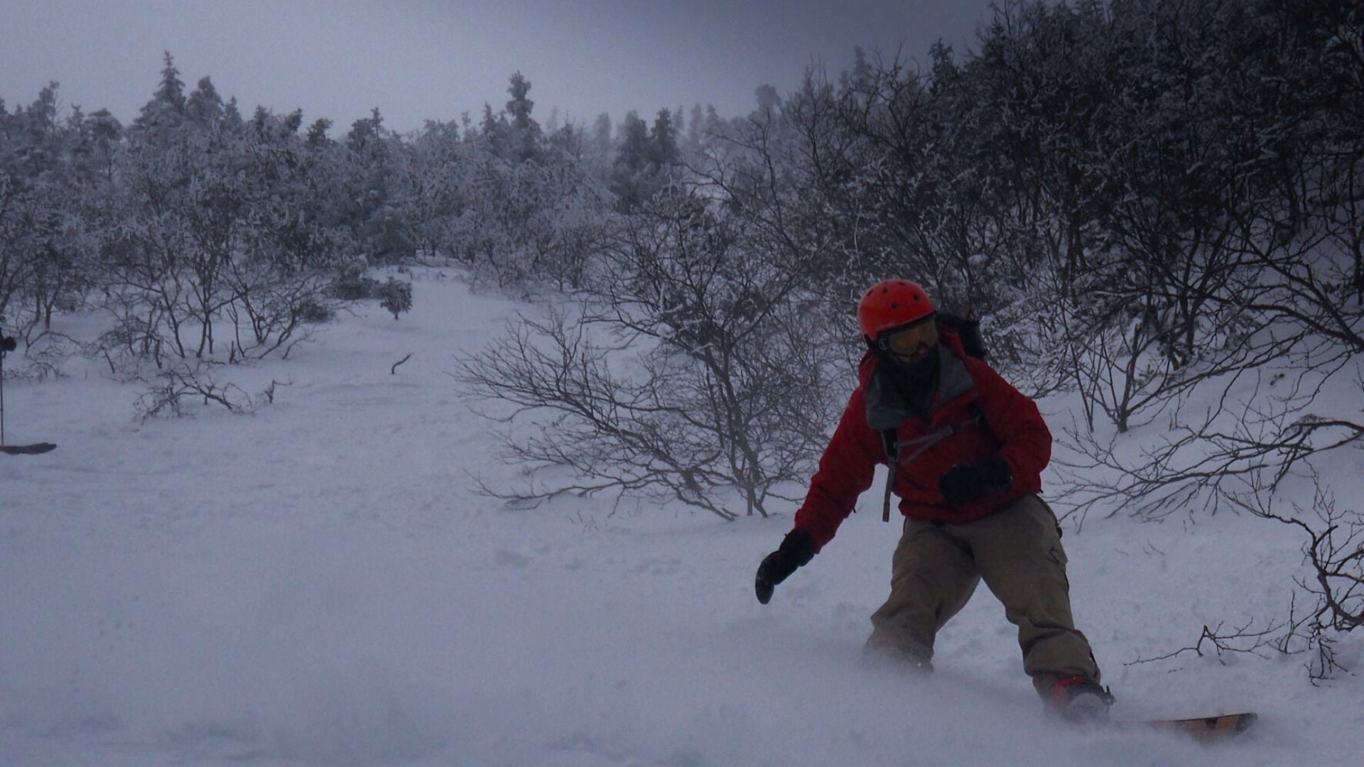 Man snowboarding in cold woods
