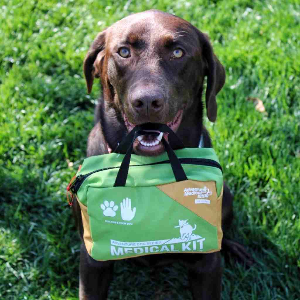 Adventure Dog Medical Kit - Me & My Dog brown dog holding kit in mouth