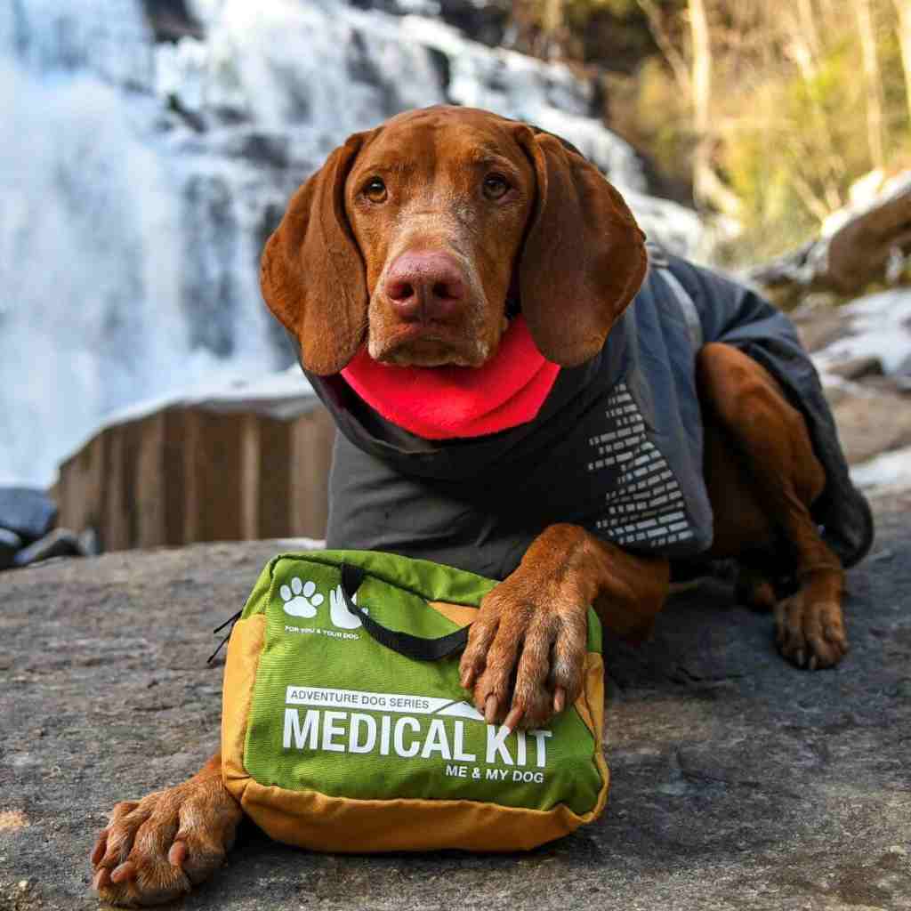 Adventure Dog Medical Kit - Me & My Dog brown dog with paw on kit