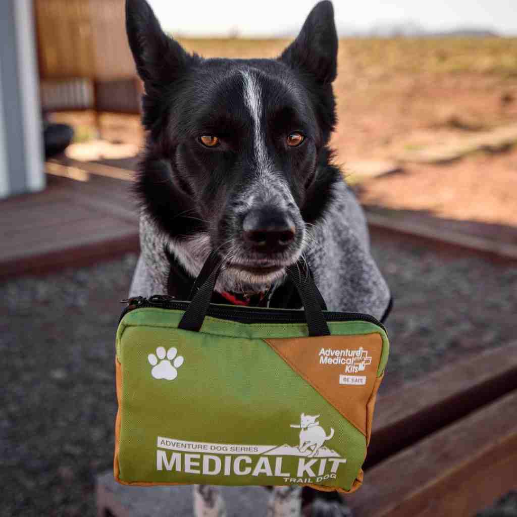 Adventure Dog Medical Kit - Trail Dog black and white dog holding kit in mouth