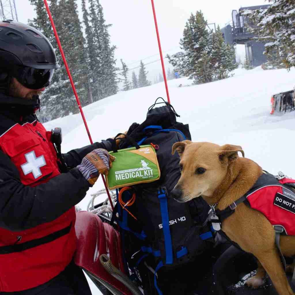 Adventure Dog Medical Kit - Trail Dog Ski Patrol holding kit on snowy mountain next to brown dog