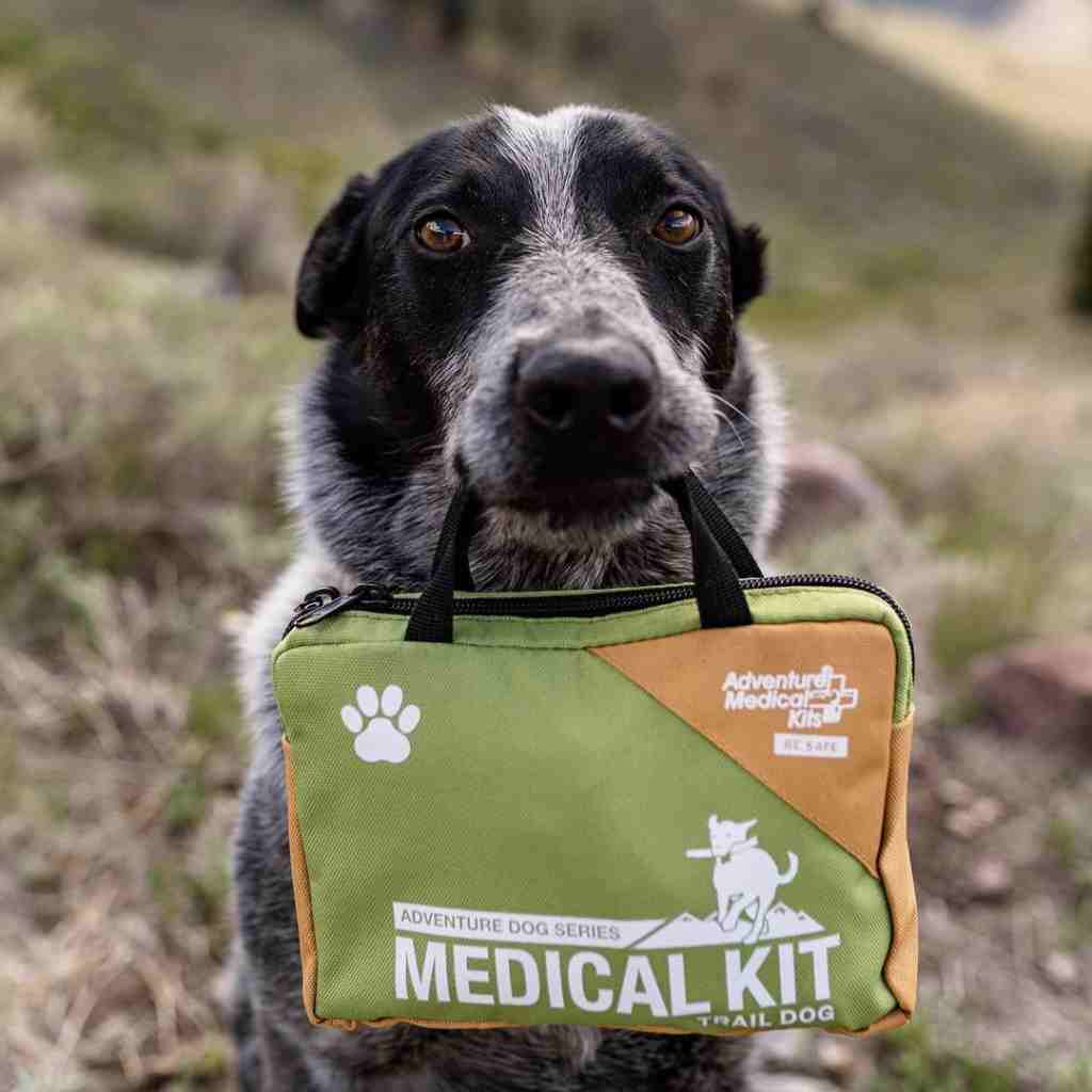 Adventure Dog Medical Kit - Trail Dog black and white dog holding kit in mouth