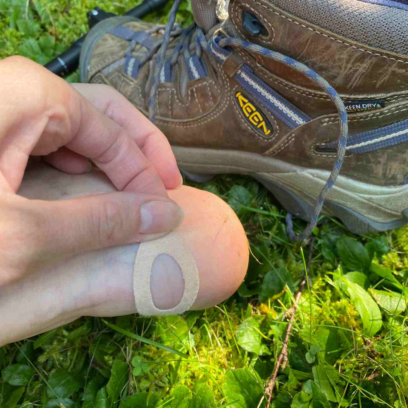 Moleskin Pre-Cut and Shaped applying to heel in front of shoe