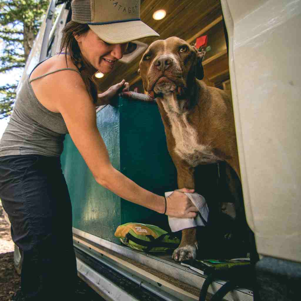 Adventure Dog Wipes woman wiping dog's arm while in van