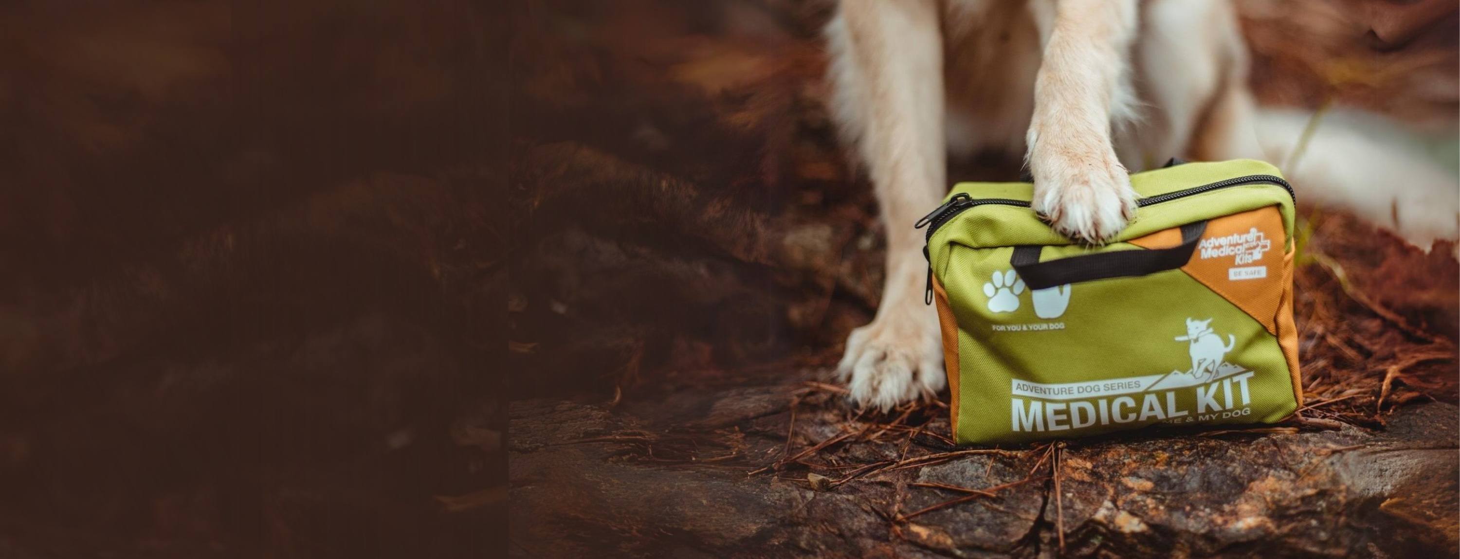 dog with kit