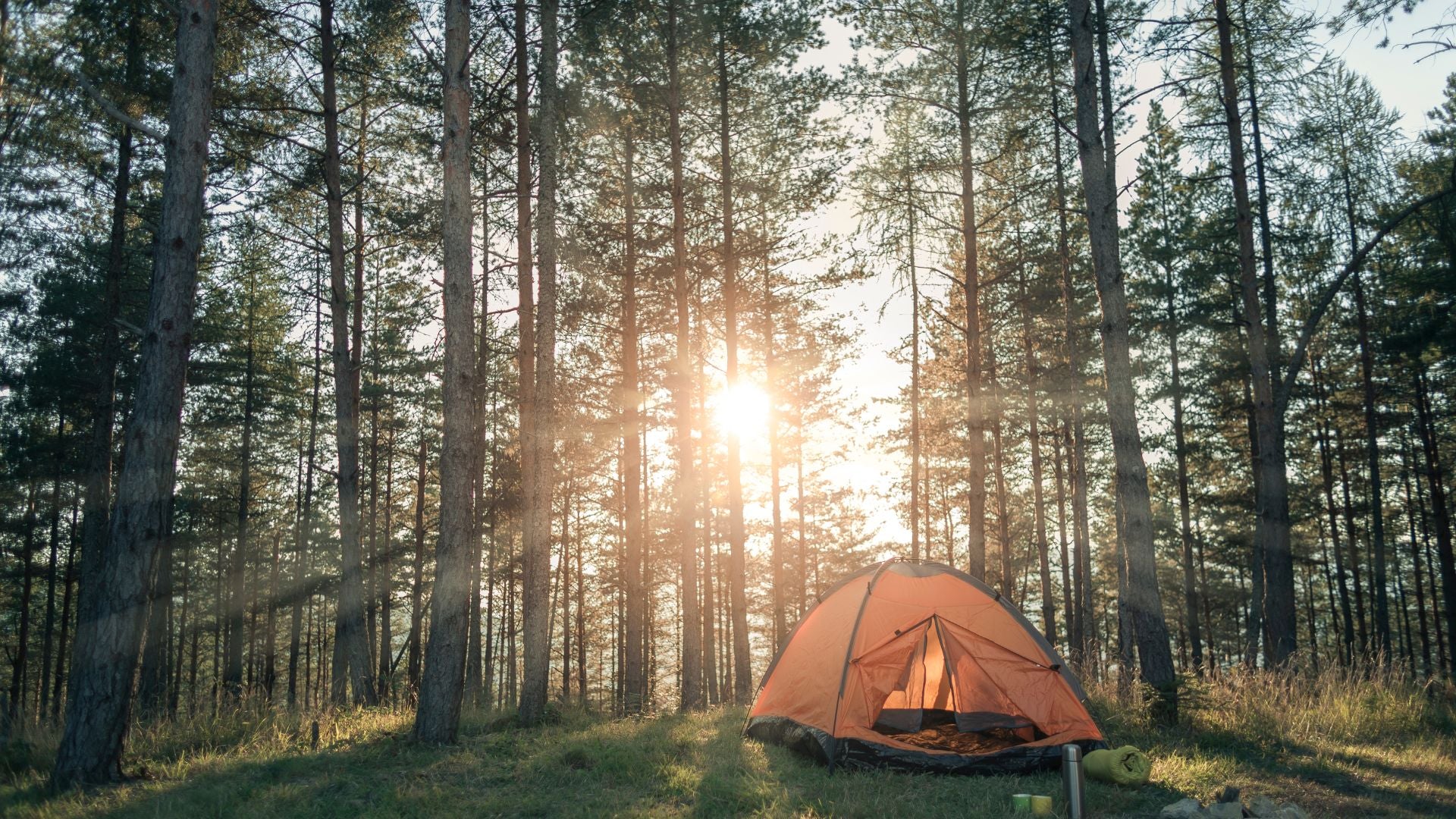 Tent in woods at sunset