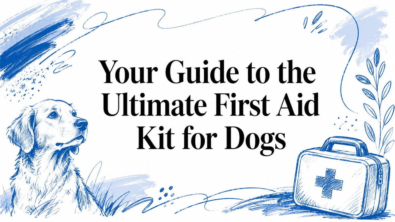 Your Guide to the Ultimate First Aid Kit for Dogs