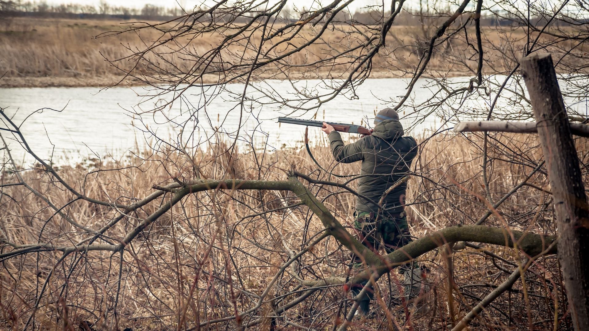 Hunter hunting