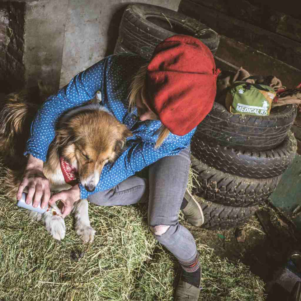 Workin' Dog Field First Aid Kit - Adventure Medical Kits