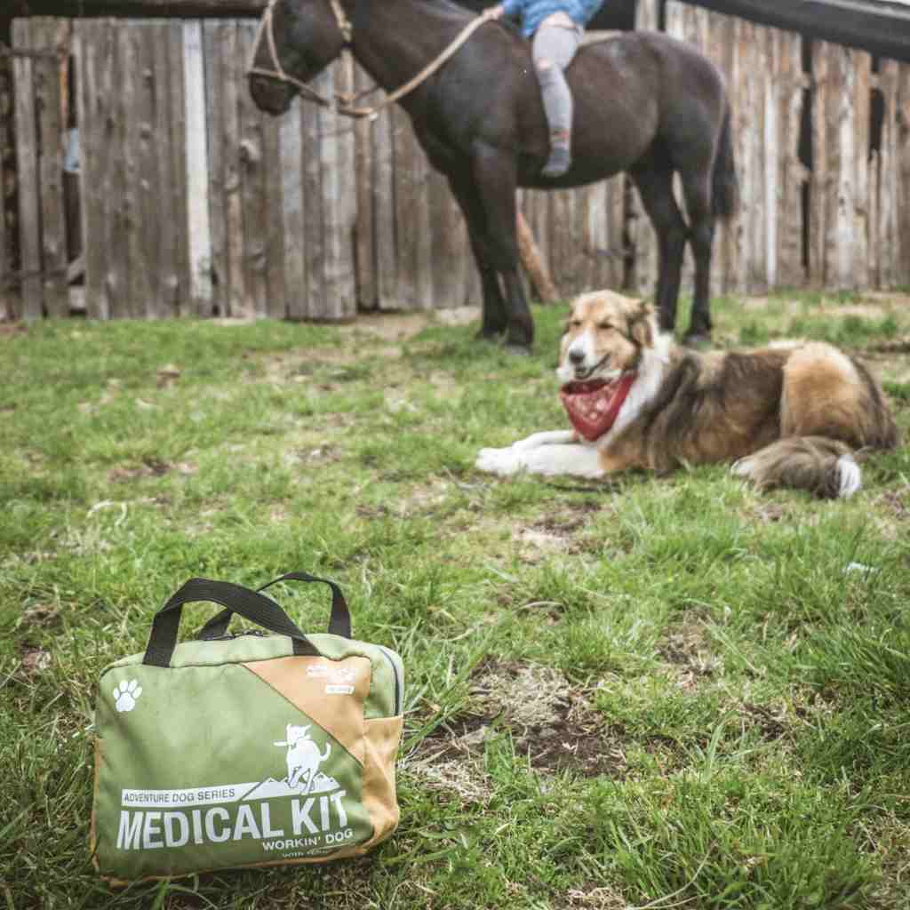 Adventure Dog Medical Kit - Workin' Dog kit in foreground with dog and woman on horse in background