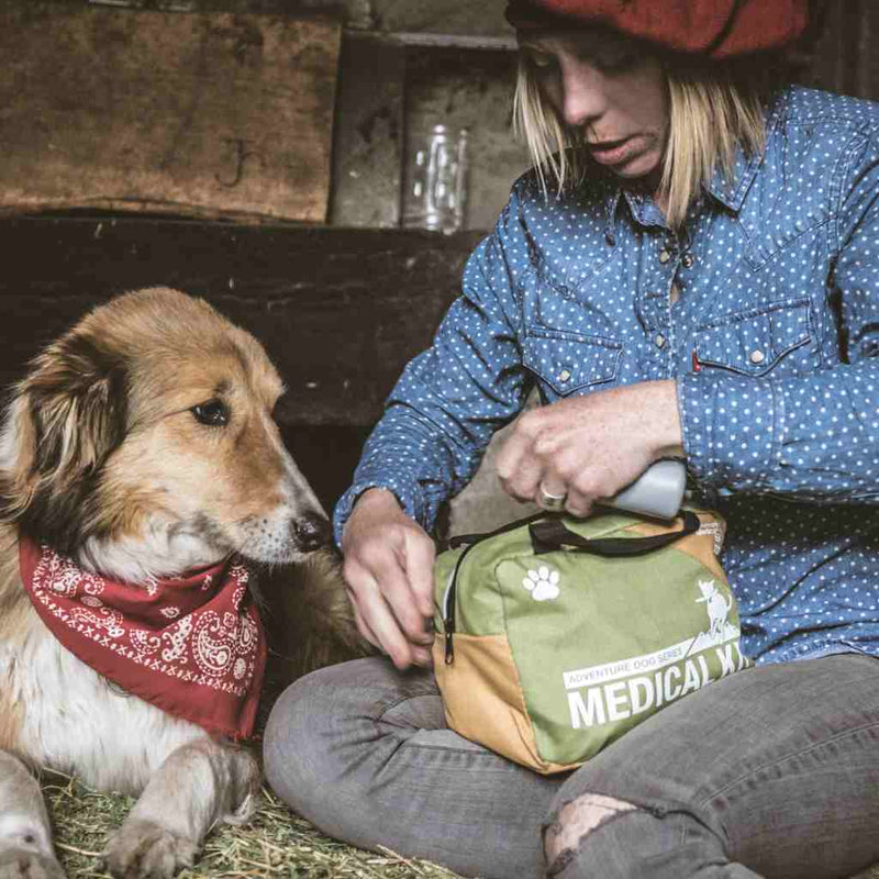 Workin' Dog Field First Aid Kit - Adventure Medical Kits
