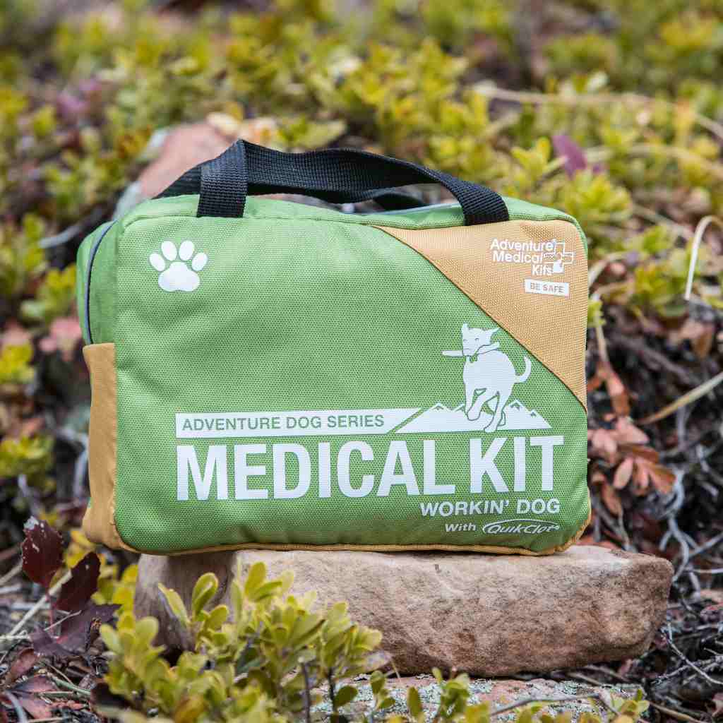 Adventure Dog Medical Kit - Workin' Dog on rock
