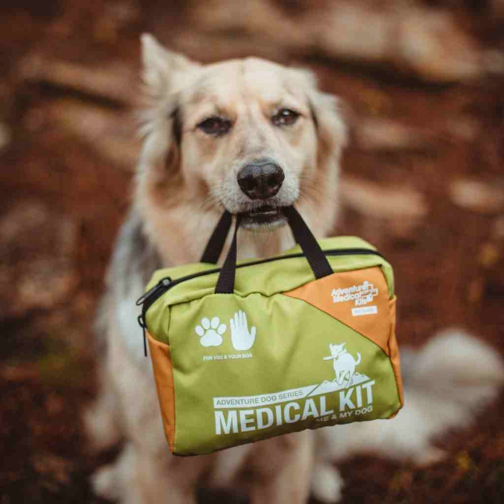 Adventure Dog Medical Kit - Me & My Dog tan dog holding kit in mouth