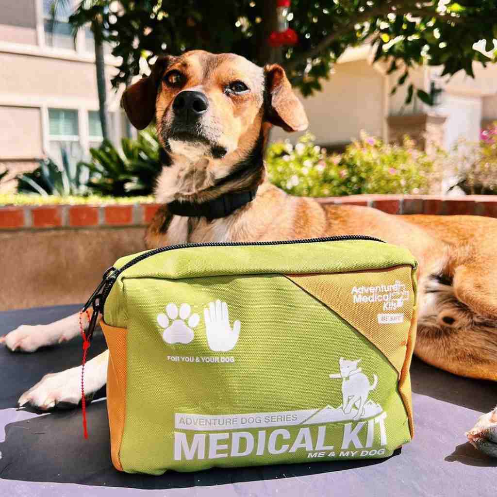 Adventure Dog Medical Kit - Me & My Dog placed in front of brown and white dog