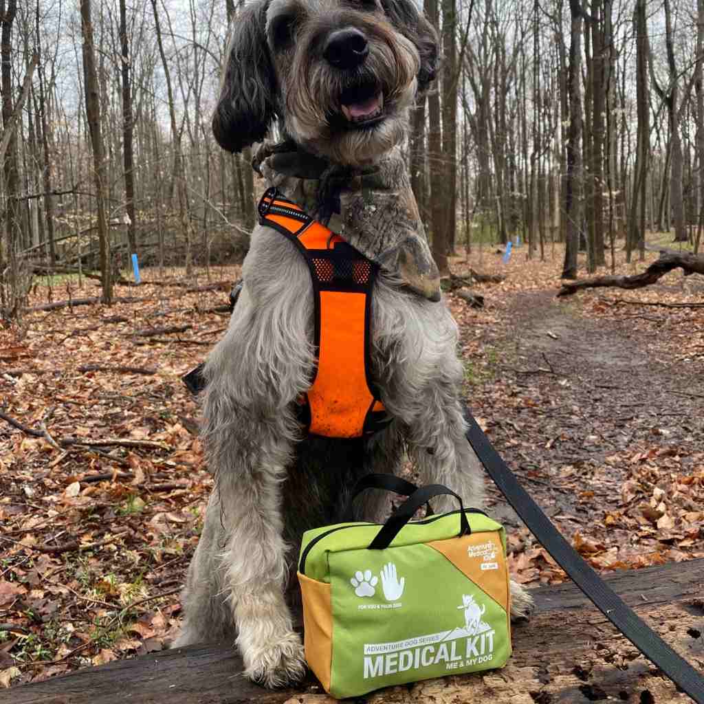 Adventure Dog Medical Kit - Me & My Dog gray dog with orange vest in fall woods behind kit