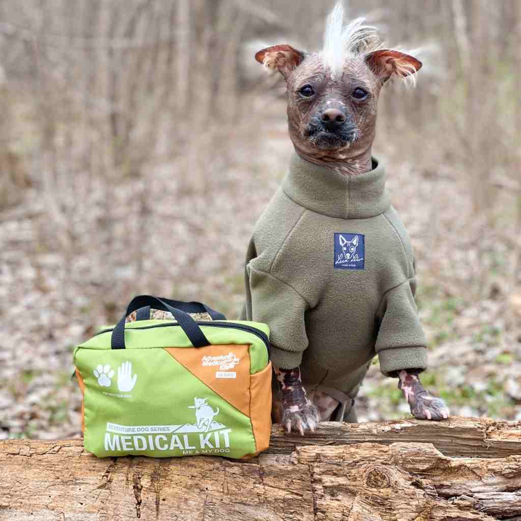 Adventure Dog Medical Kit - Me & My Dog hairless dog with mohawk in green fleece jacket on log next to kit