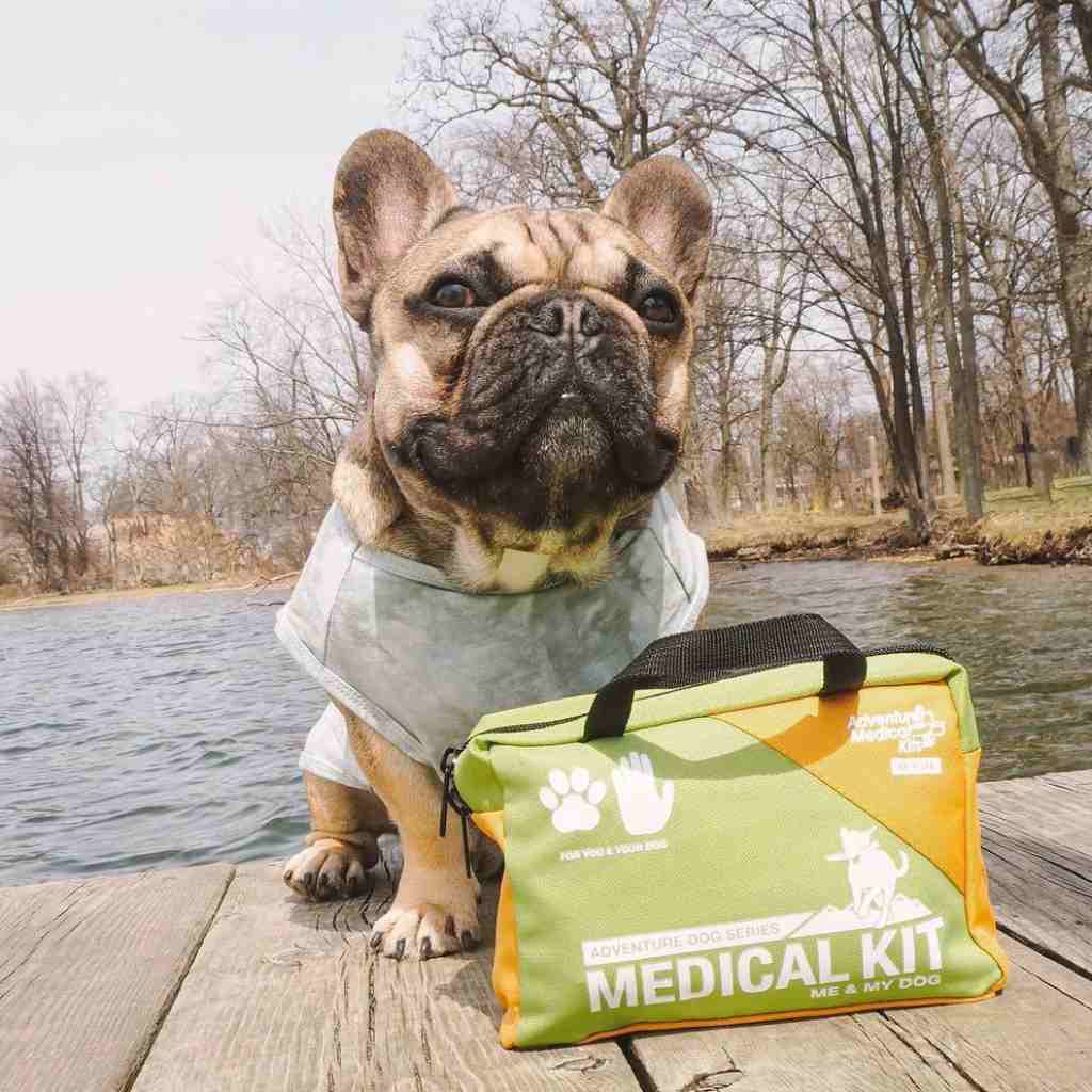 Adventure Dog Medical Kit - Me & My Dog dog seated behind kit on a dock in front of water