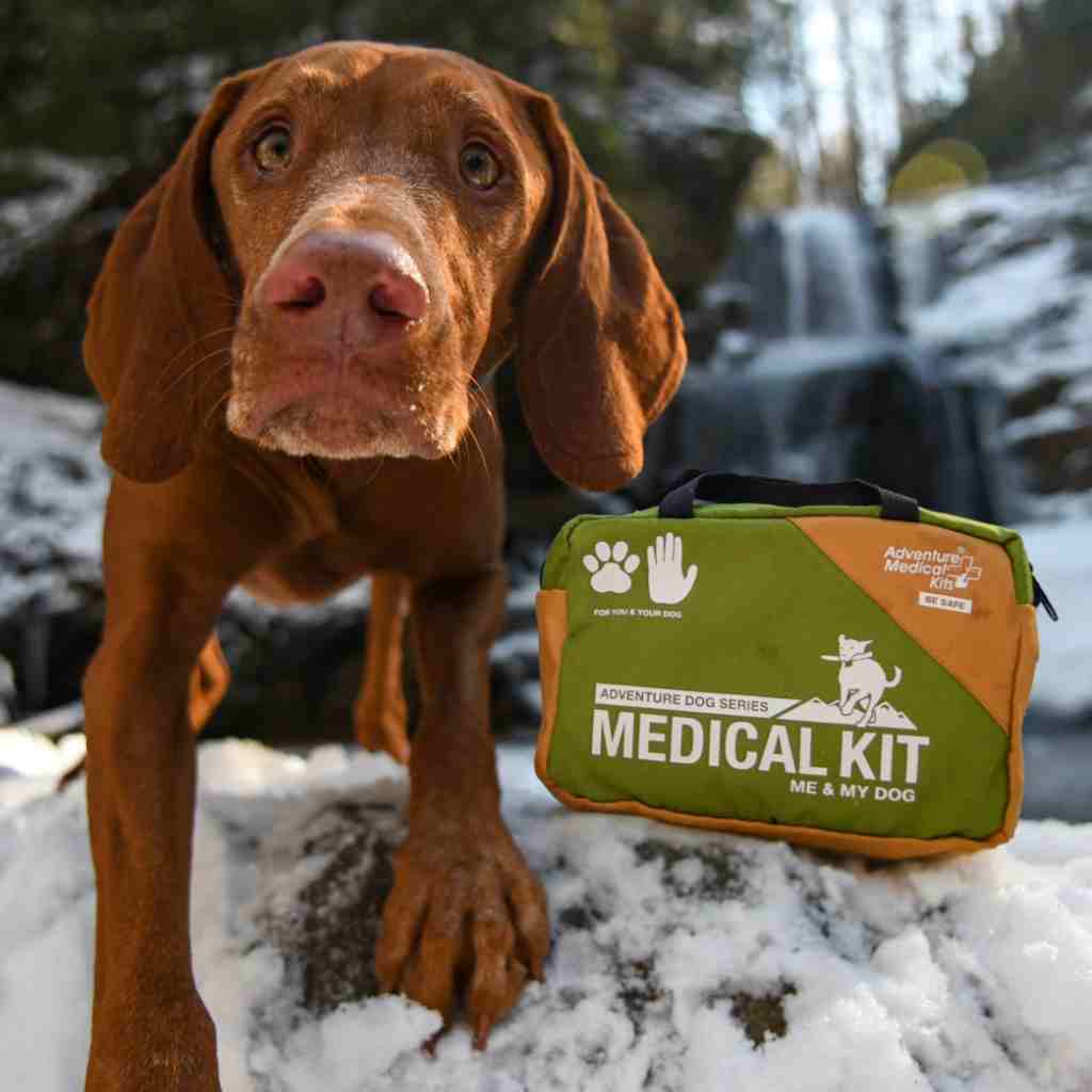 Adventure Dog Medical Kit - Me & My Dog in snow next to brown dog at waterfall