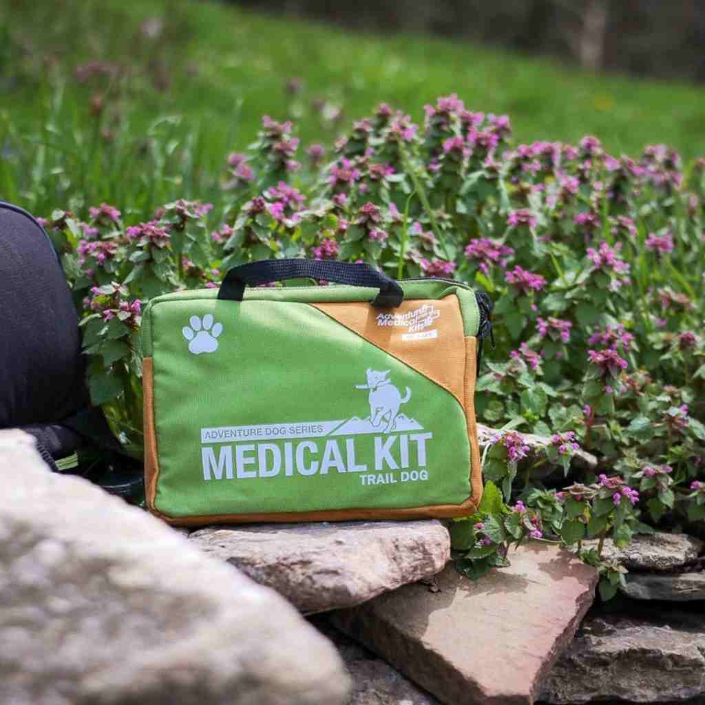 Adventure Dog Medical Kit - Trail Dog on rock in front of flowers