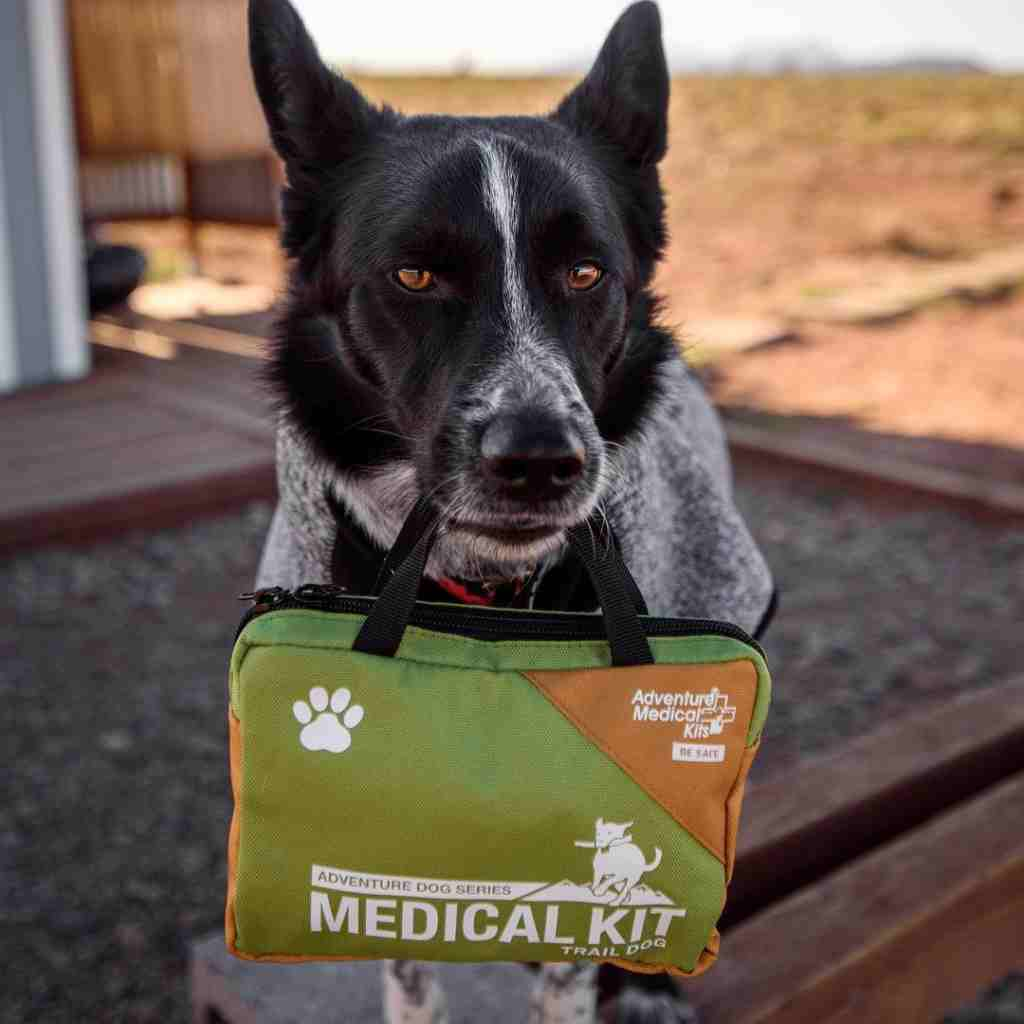 Trail Dog Medical First Aid Kit Adventure Medical Kits