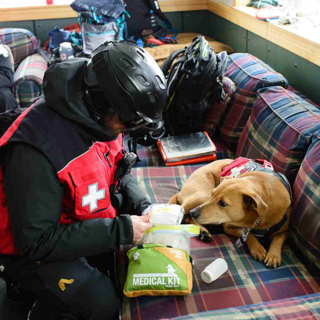 Adventure Dog Medical Kit - Trail Dog Ski Patrol opening kit on couch next to brown dog