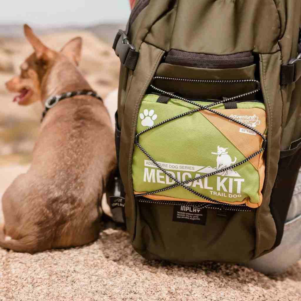 Adventure Dog Medical Kit - Trail Dog kit in person's backpack seated next to small dog
