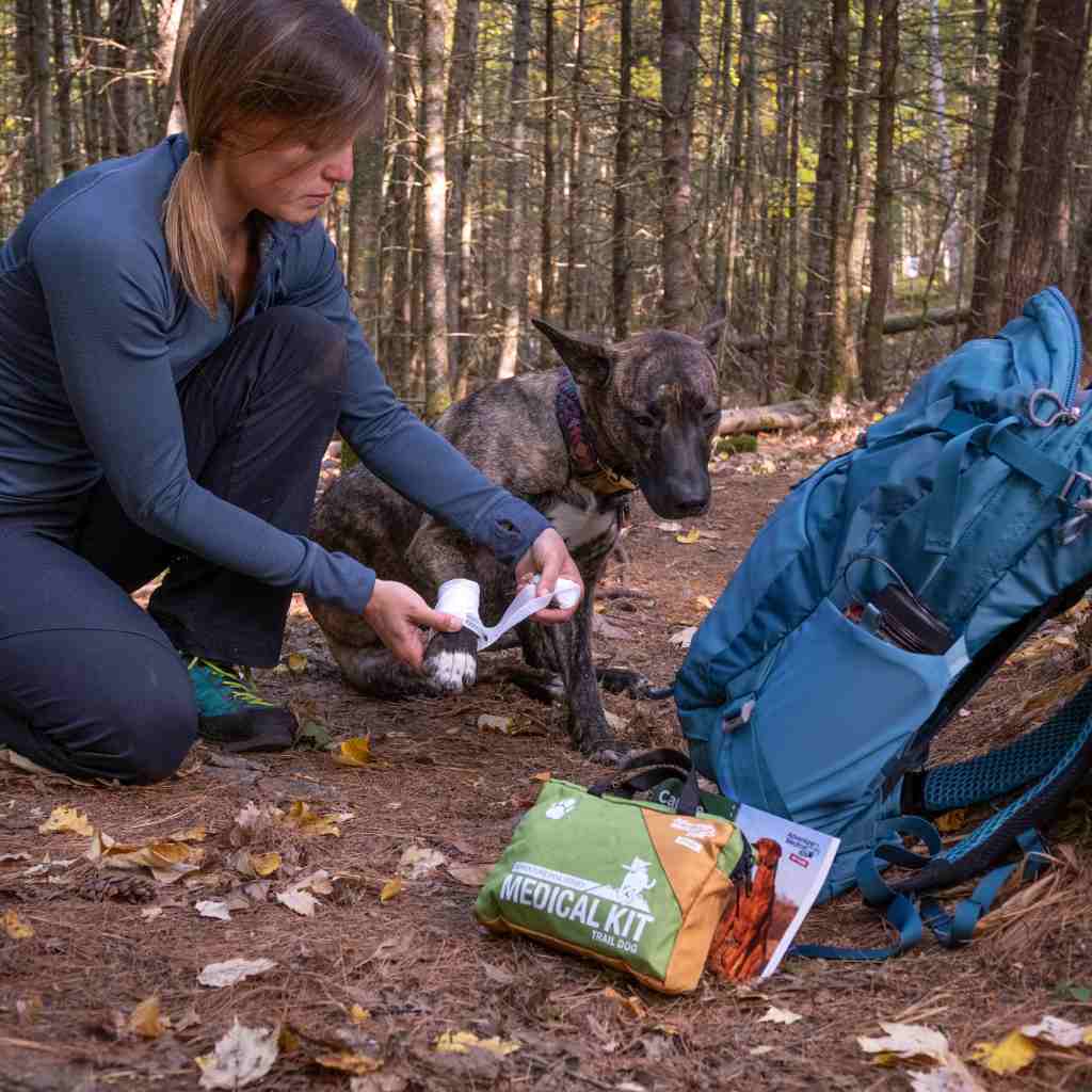 Adventure Dog Medical Kit - Vet in a Box woman wrapping a bandage around dog's paw with blue backpack and kit next to her