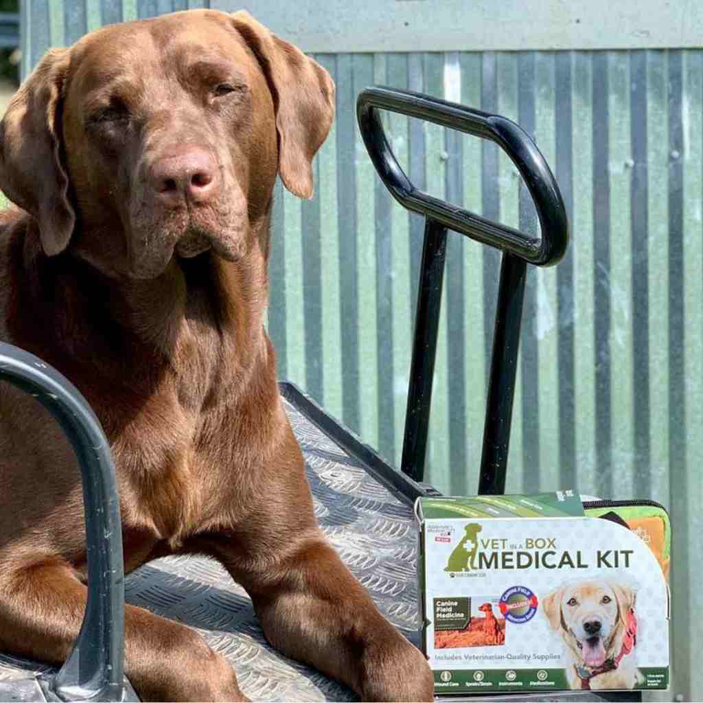 Adventure Dog Medical Kit - Vet in a Box placed next to brown dog