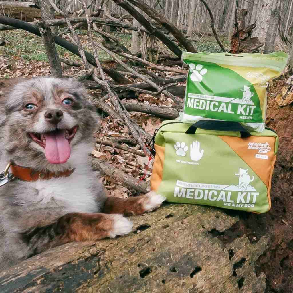 Adventure Dog Medical Kit - Heeler and Me and My Dog Kit placed next to happy dog on log
