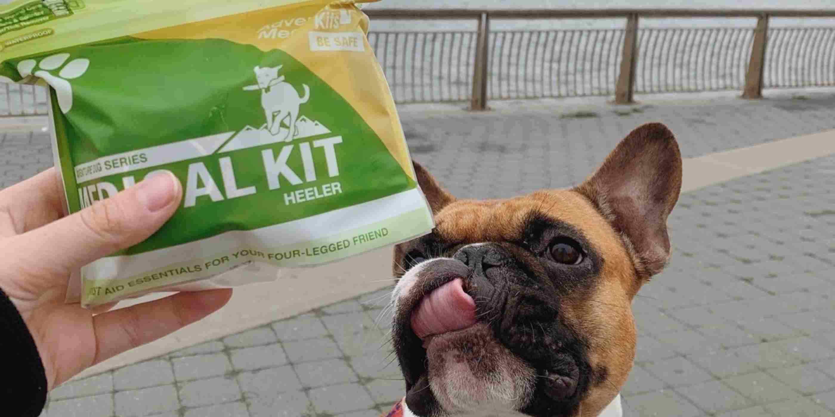 Adventure Dog Medical Kit - Heeler holding in front of dog in city setting